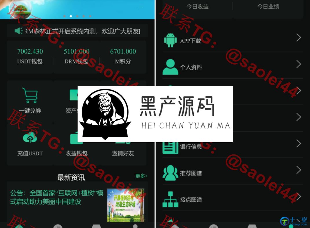 精品源码  2020最新DRM森林/区块链商城/交易中心/种树/直推/公排/分红/挖矿/资金盘/金融投资理财赚钱源码等